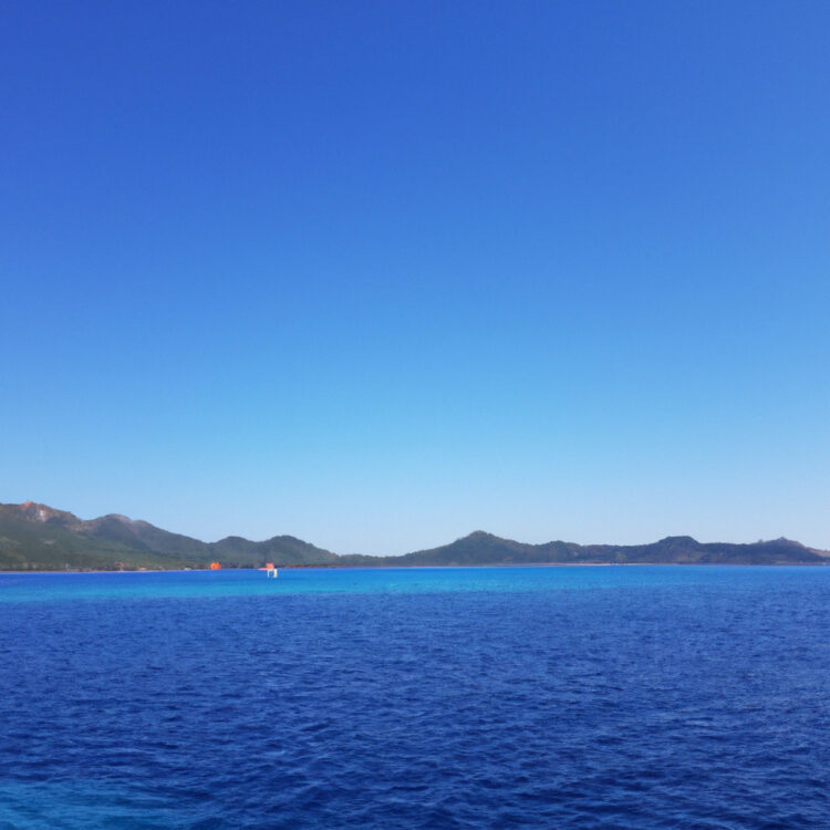 気体/酸化窒素の動粘度